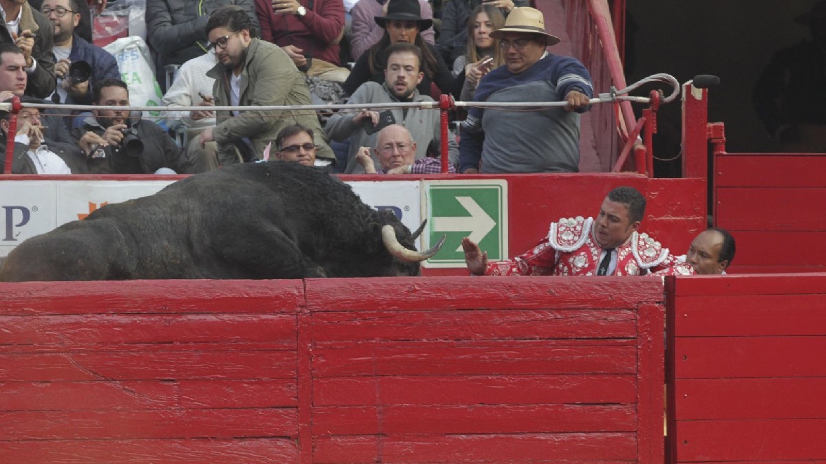 En Colima, captan a toro arriba de las gradas; causa pánico en público