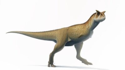 Dinosaurio sin brazos
