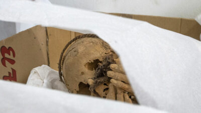 Perú: Hallan 20 momias de más de 800 años; hay 8 niños