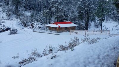 En Sinaloa se registra una nevada, cubriendo la sierra en Badiraguato