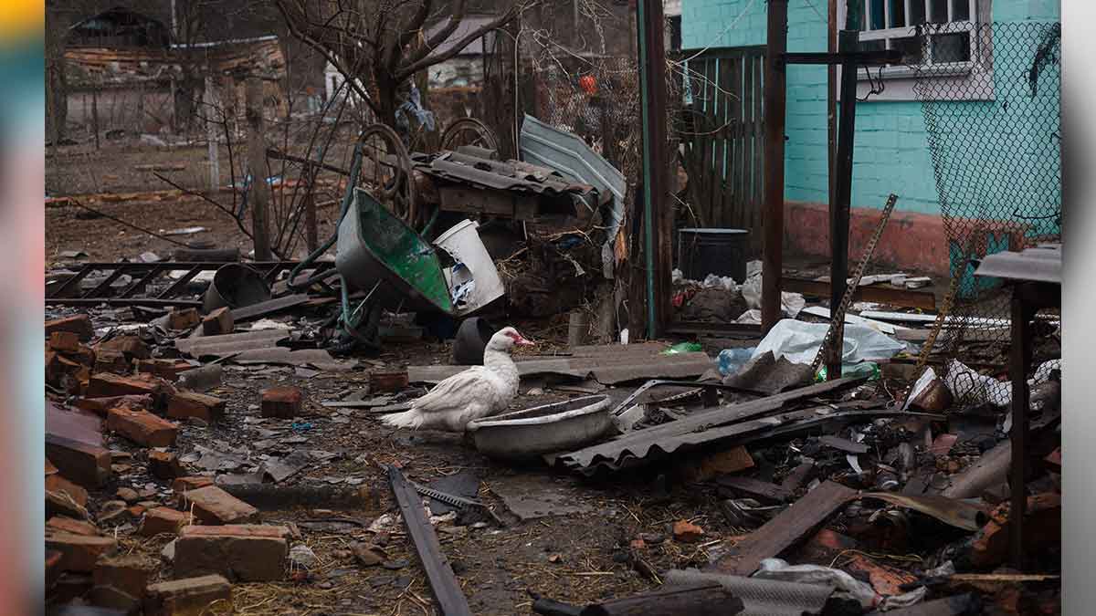 Guerra en Ucrania: Dron capta imágenes d ciudad  Chernihiv devastada