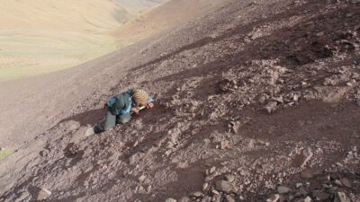 Chile Atacama pterosaurios
