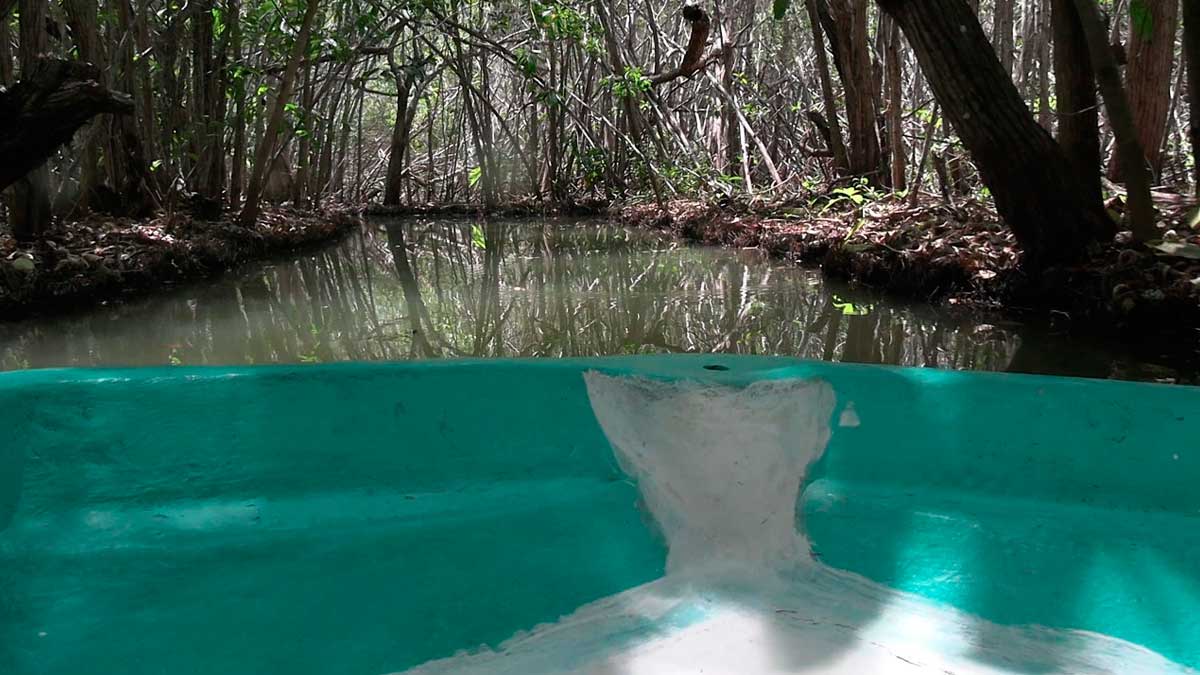 San Crisanto, los manglares de la “Venecia tropical” de Yucatán