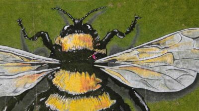 ¿Una abeja gigante? Dron captura mega mural para hacer conciencia