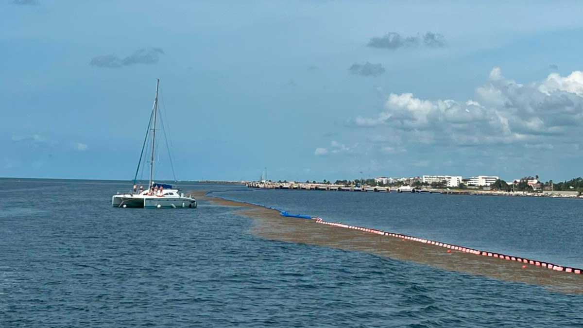 Barcos sargaceros en Quintana Roo: ¿Qué son y cómo funcionan?