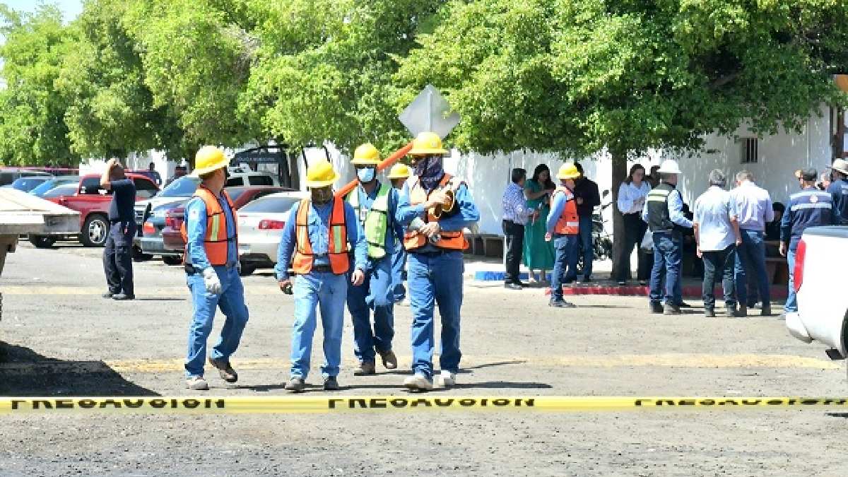 En Hermosillo, pájaro provoca cortocircuito; electrocutó a 8 trabajadores