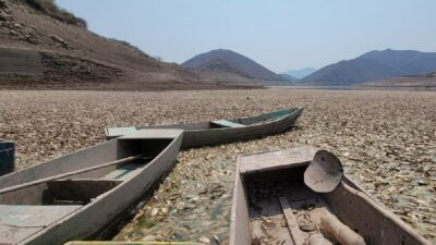 Guerrero: presa Andrés Figueroa se seca y mueren toneladas de peces