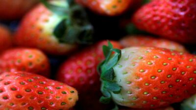 Estados Unidos y Canadá investigan casos de hepatitis A relacionados con fresas orgánicas