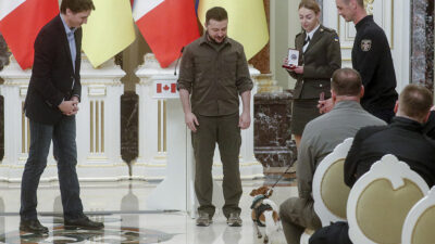 Perro recibe medalla del presidente de Ucrania, Volodimir Zelenski