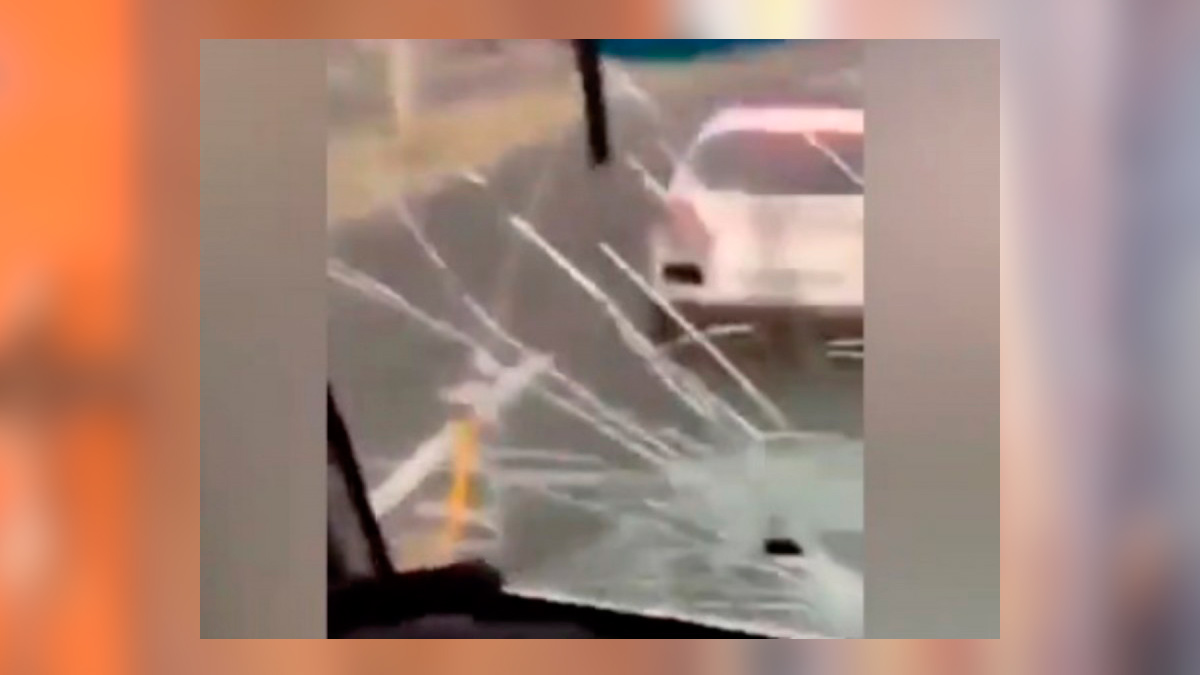 Puebla: Lanza piedras a camión, y chofer busca chocarlo; ve video