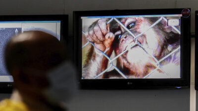 Salud niega haber emitido alerta por viruela del mono