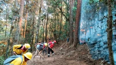 Veracruz arde por incendios forestales: hay al menos 10 municipios afectados