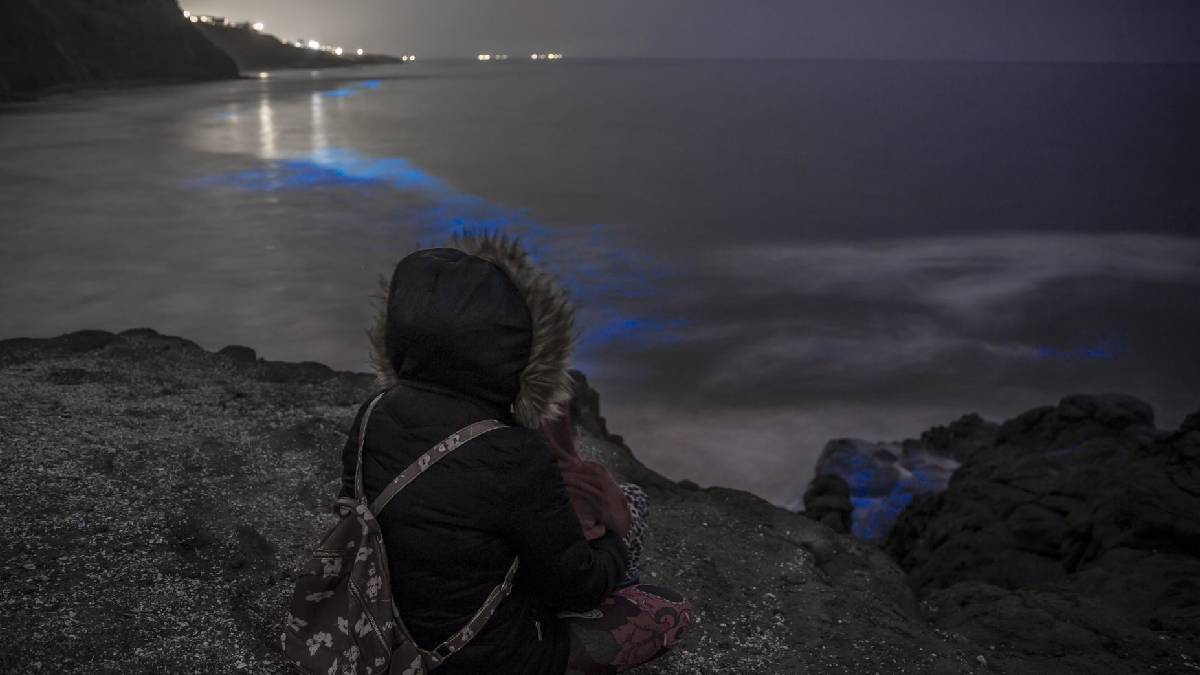 playas con bioluminiscencia o que brillan