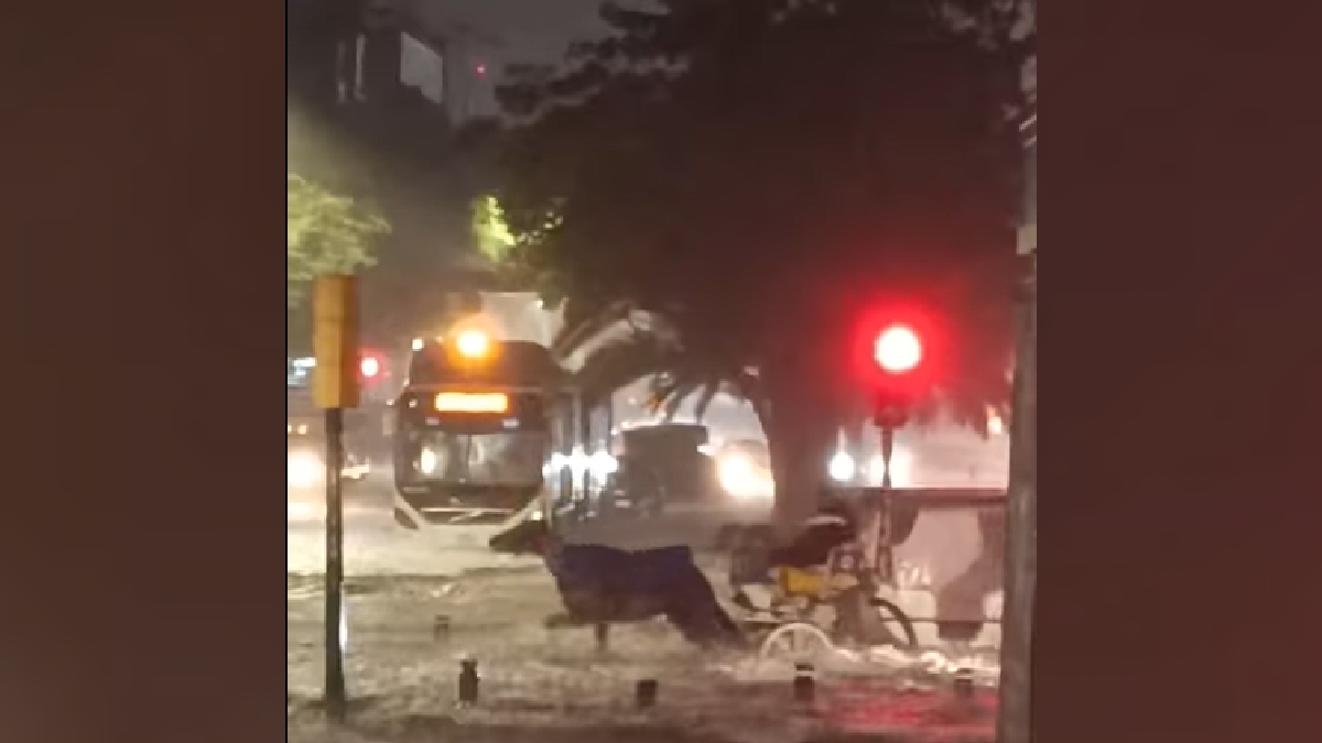 Indigna video: hombre obliga a caballo a jalar calandria durante tormenta en Guadalajara
