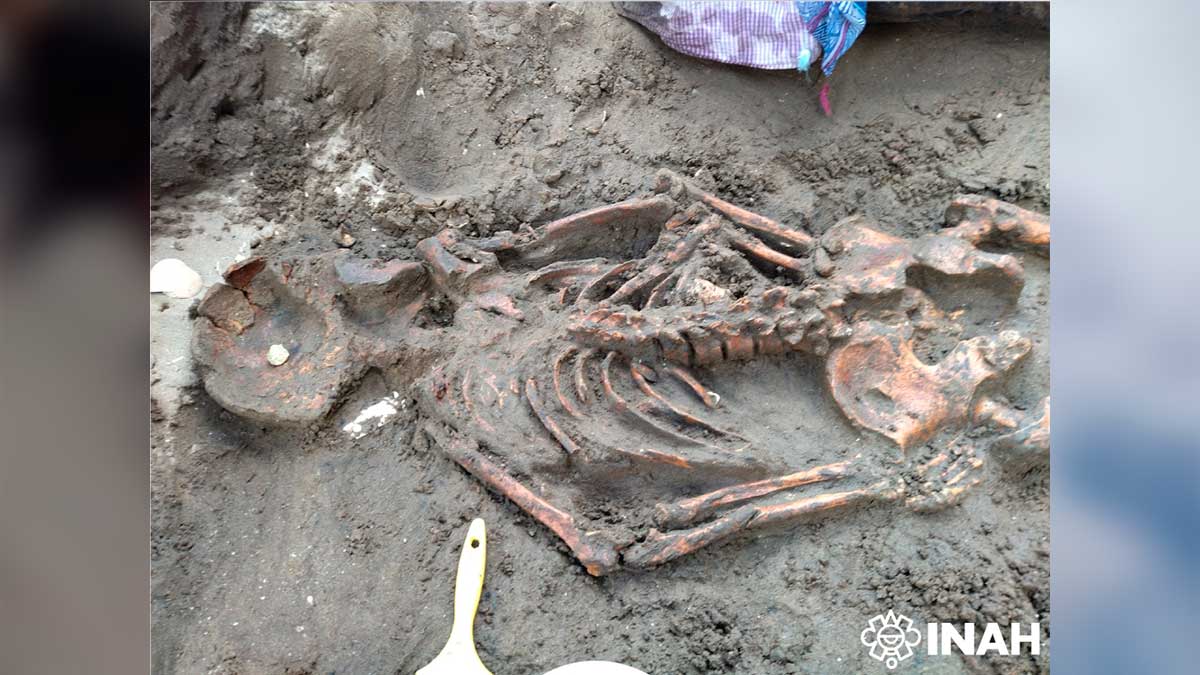 Descubren osamentas en BCS que revelarían detalles sobre funerales de hace miles de años
