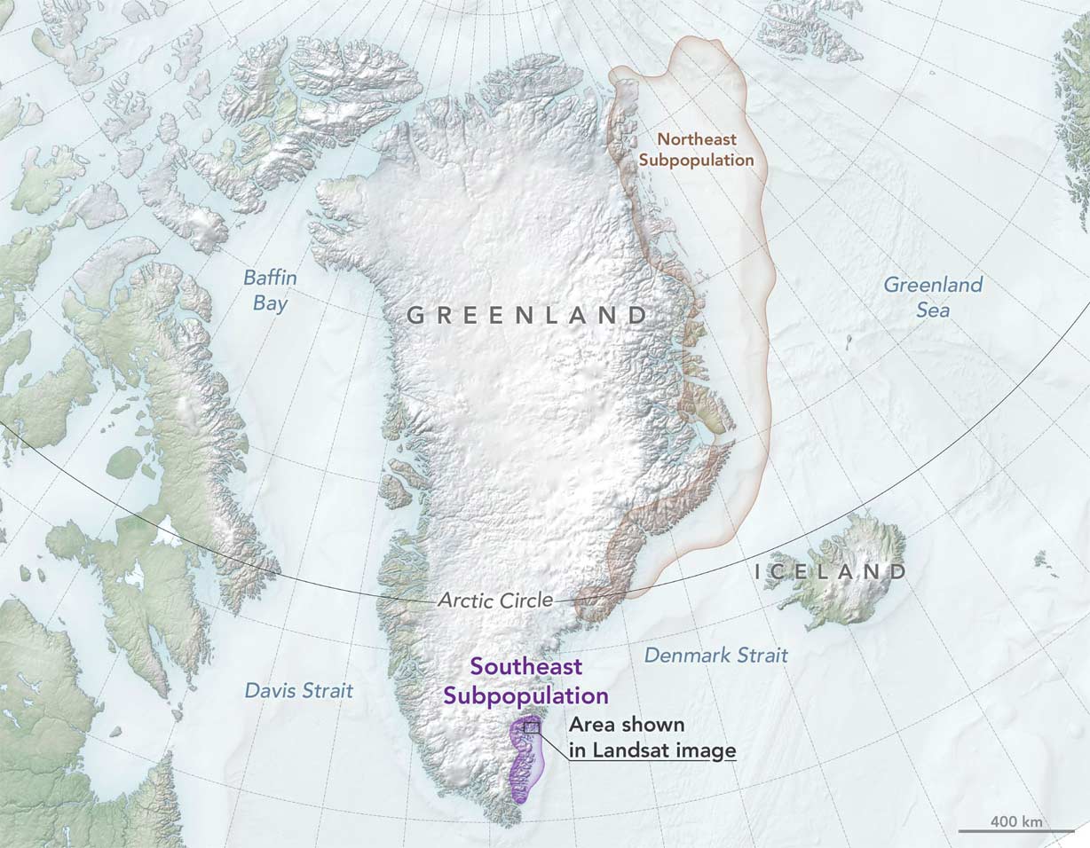 Mapa Osos Polares Groenlandia