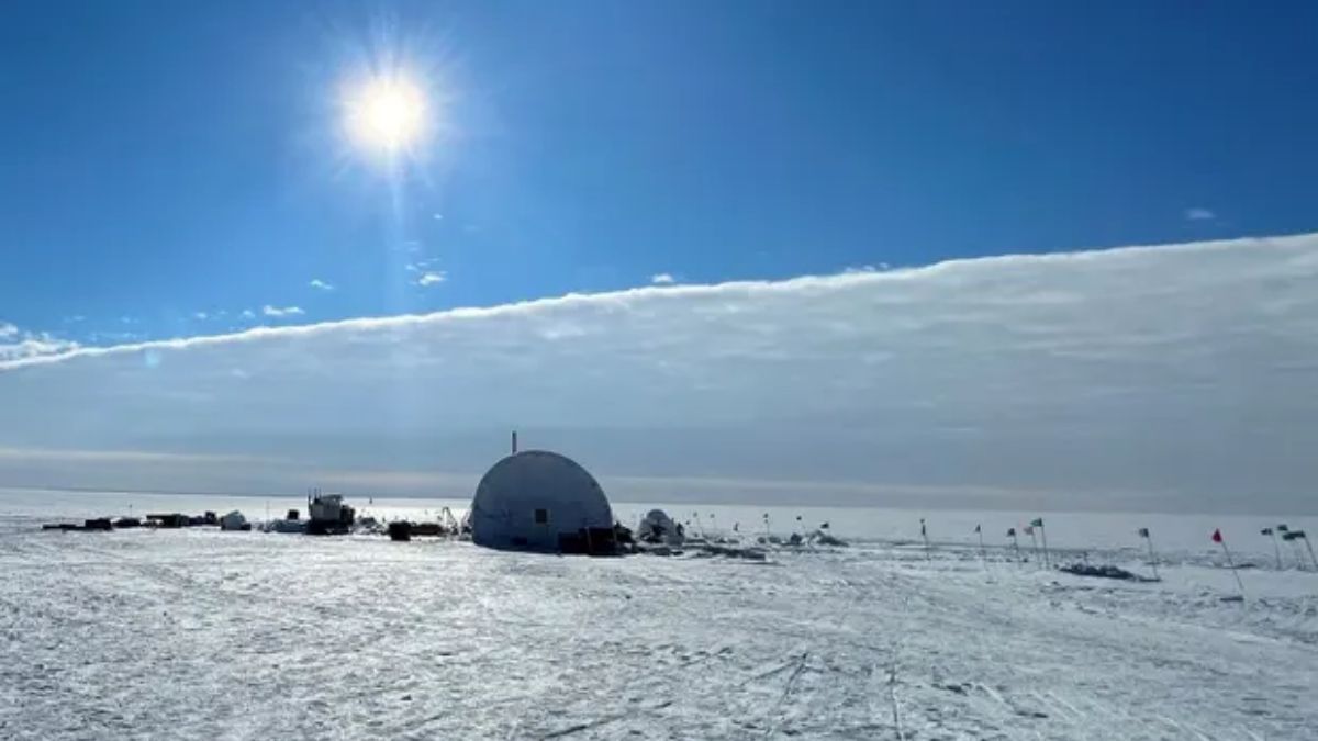 Enjambre de vida en la Antártida