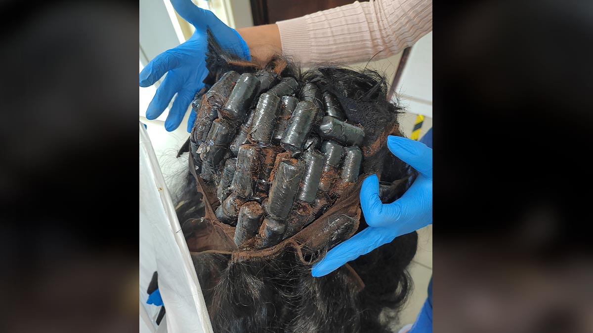 Narcopelucas: Nueva modalidad de llevar droga en el cabello es detectada en Panamá