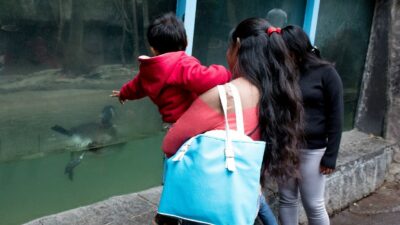 Zoológico de Chapultepec cumple 99 años el 6 de julio de 2022
