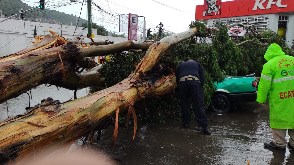 Lluvias provocan inundaciones en Ecatepec; árbol cae sobre taxi y deja una persona muerta