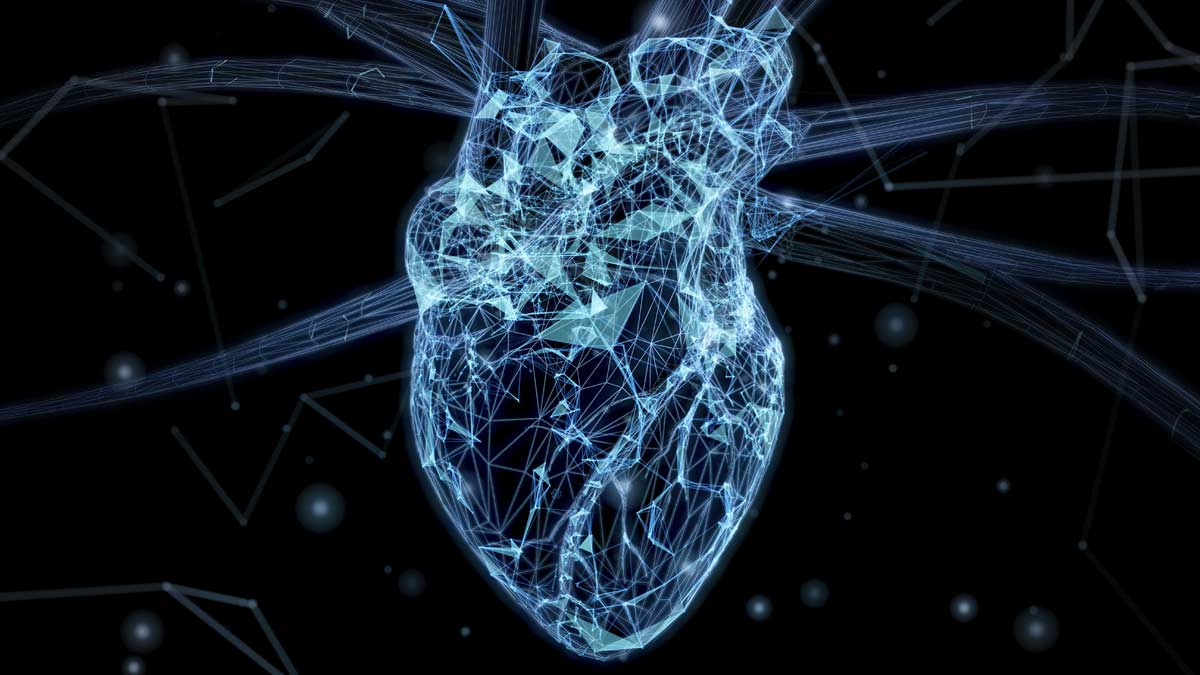 Científicos crean una pieza del corazón humano en miniatura, y ¡late!