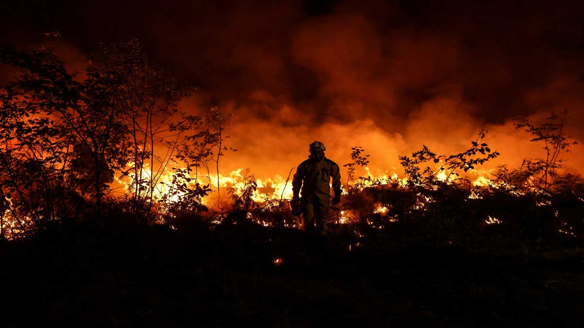 Siguen las llamas: incendios forestales en Europa han arrasado con más de 500 mil hectáreas