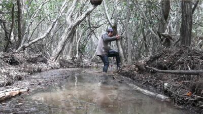 Manglares de San Crisanto, Yucatán: una lucha contra el carbono azul