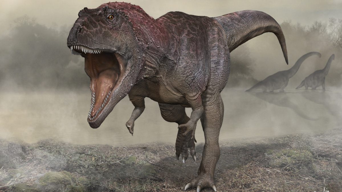 Meraxes gigas: descubren nueva especie de dinosaurio carnívoro gigante parecido al T.rex