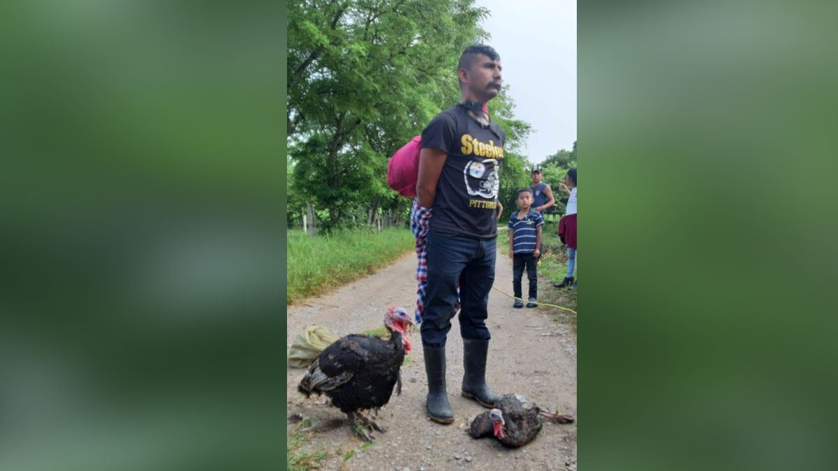 Ocosingo, Chiapas: Prenden fuego a hombre por robar 2 guajolotes
