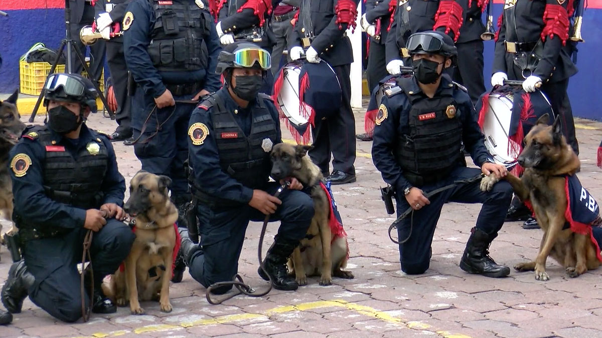 Policías caninos de la PBI están de fiesta; K9 cumple 25 años de su creación