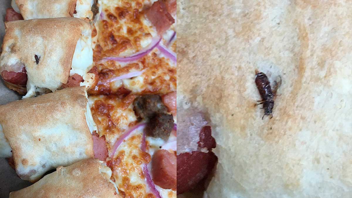 ¿Qué hubieras hecho tú? Compran pizza en Puebla, hallan insecto y les dicen que es tocino