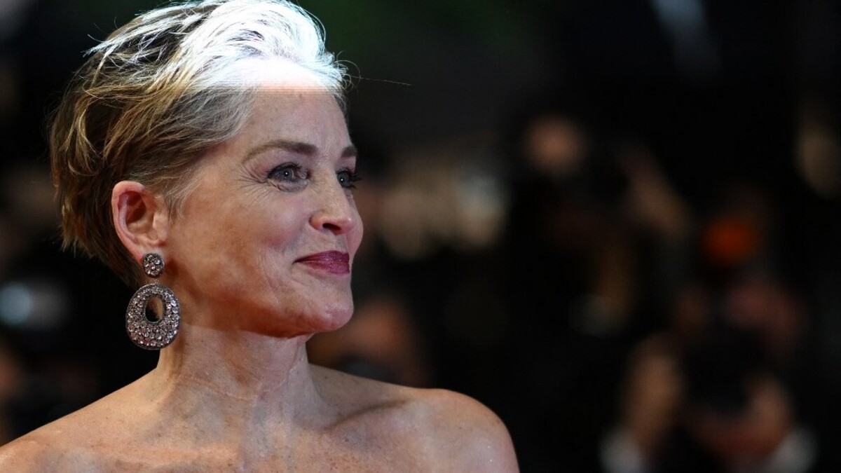“Agradecidamente imperfecta”: Sharon Stone comparte atrevida foto en topless a los 64 años
