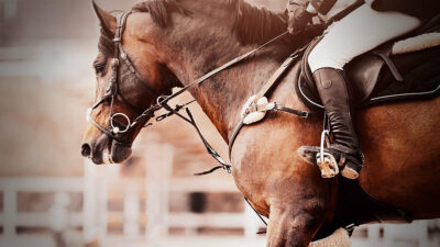 Carrera de caballos termina en tragedia en Tucta, Tabasco; video