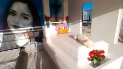Debanhi Escobar: Bombona, su perrita, visita su tumba en Nuevo León