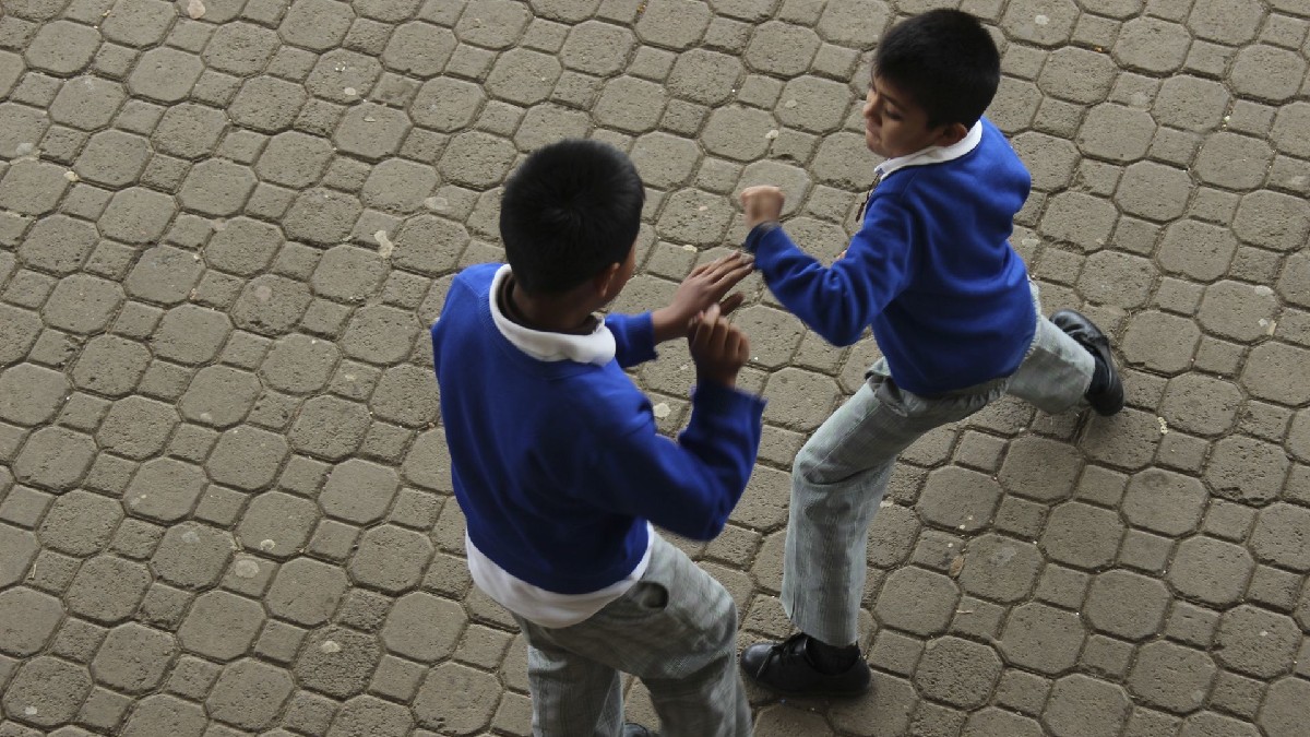 ¿Cómo y dónde puedo denunciar casos de bullying en escuelas de Veracruz?