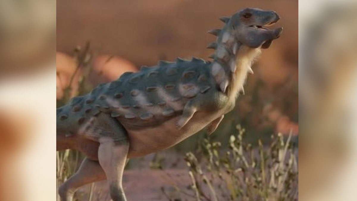 Descubren nueva especie de diminuto dinosaurio acorazado