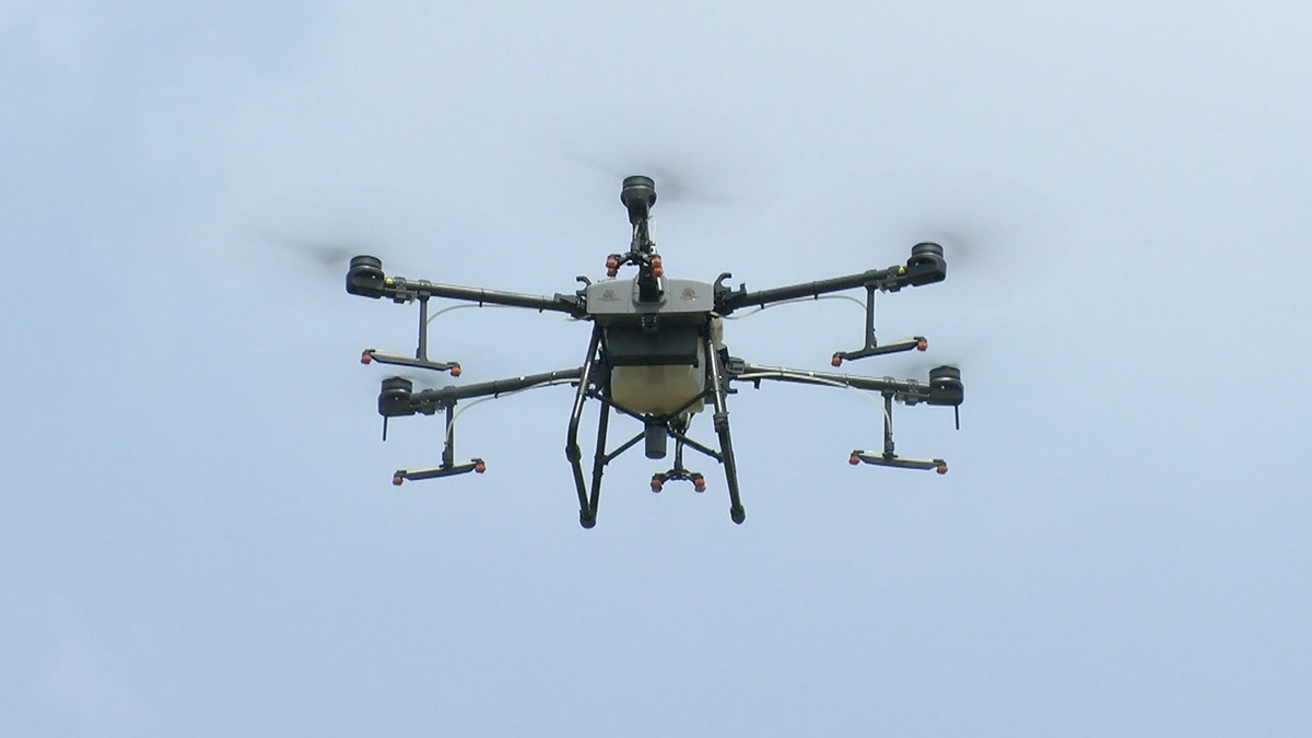 Estos drones reforestan áreas dañadas por incendios en CDMX
