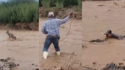 En Cumpas, Sonora, vaquero salva a hombre arrastrado por río; ve video