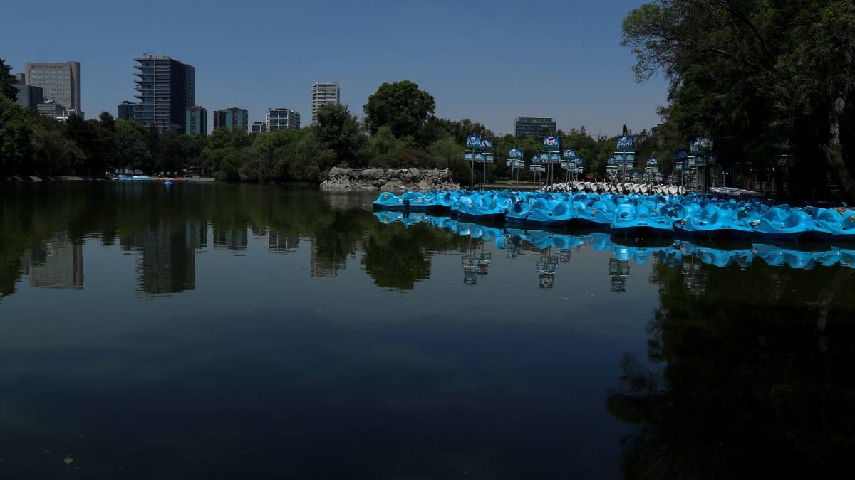 Hombre muere ahogado en el Lago de Chapultepec