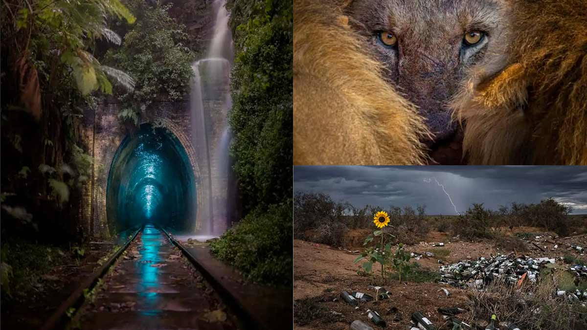 Éstas son las mejores fotografías de vida salvaje y naturaleza de 2022, del Nature TTL