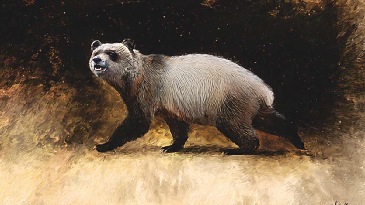 Descubren panda gigante que poblaba Europa hace seis millones de años
