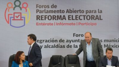 Parlamento Reforma Electoral