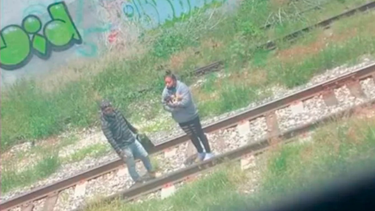 ¡Temblaban! Abandonan a perritos en vías del tren de Puebla; así los salvaron: ve videos