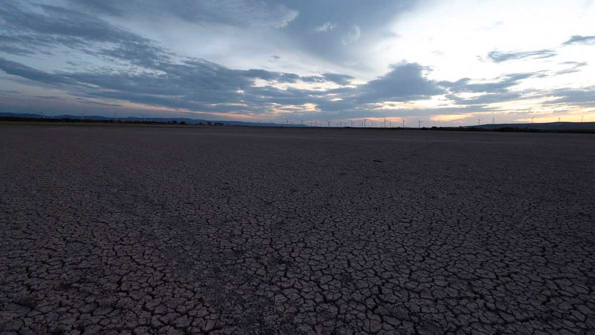 Europe in drought: the worst in 500 years;  dry rivers and high temperatures