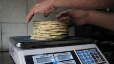 Venden tortillas “pirata” de olote en Sinaloa, Sonora y Durango