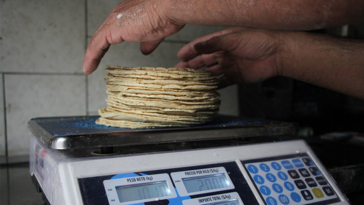 Cuidado con consumir “tortillas pirata”; en Sinaloa, Sonora y Durango ya se venden