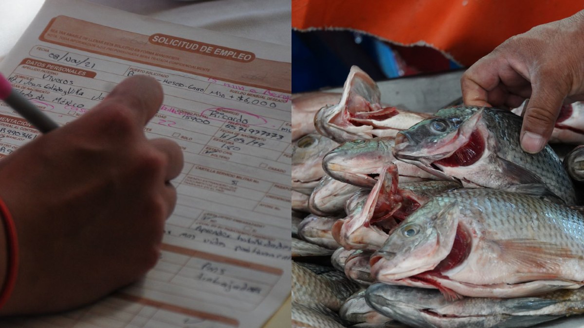 ¿Sin chamba? ¡Lánzate a Canadá! Ofrecen trabajo en planta de pescados con sueldo de 30 mil pesos al mes