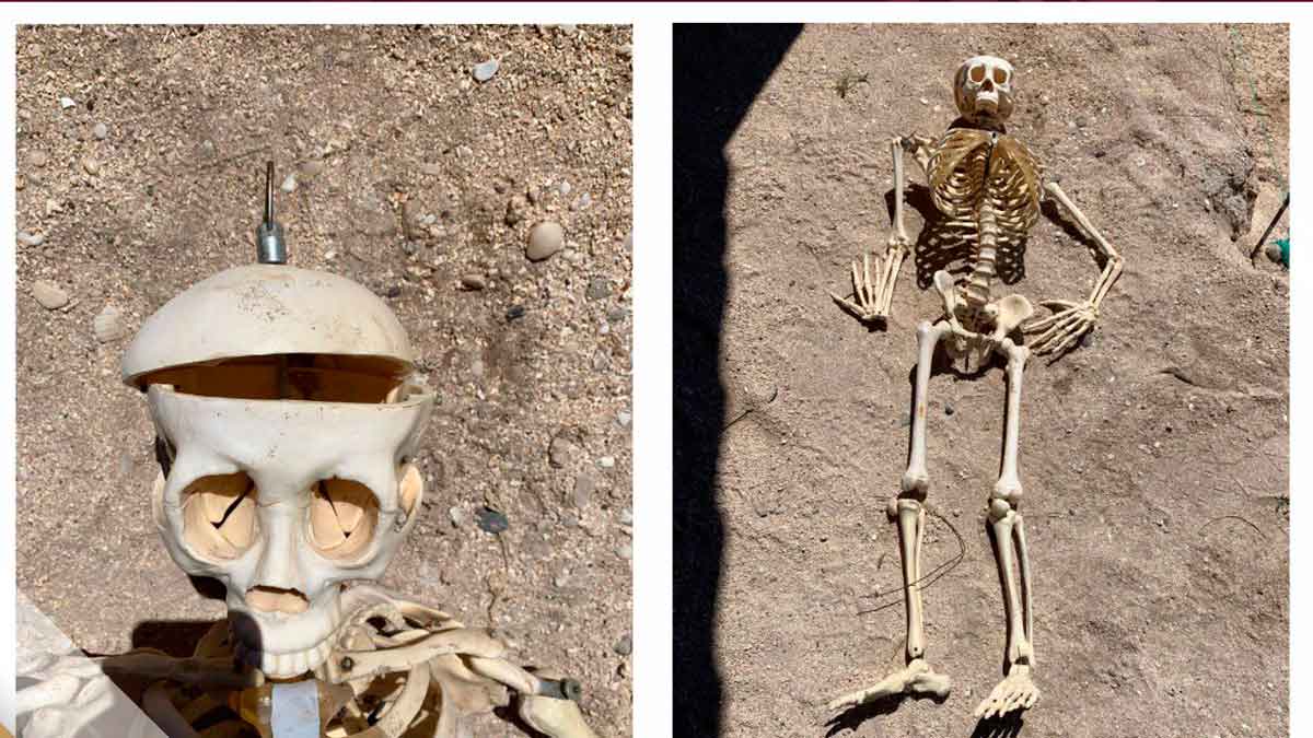 Esqueleto en Baja California Sur: juegan mala broma a maquinista