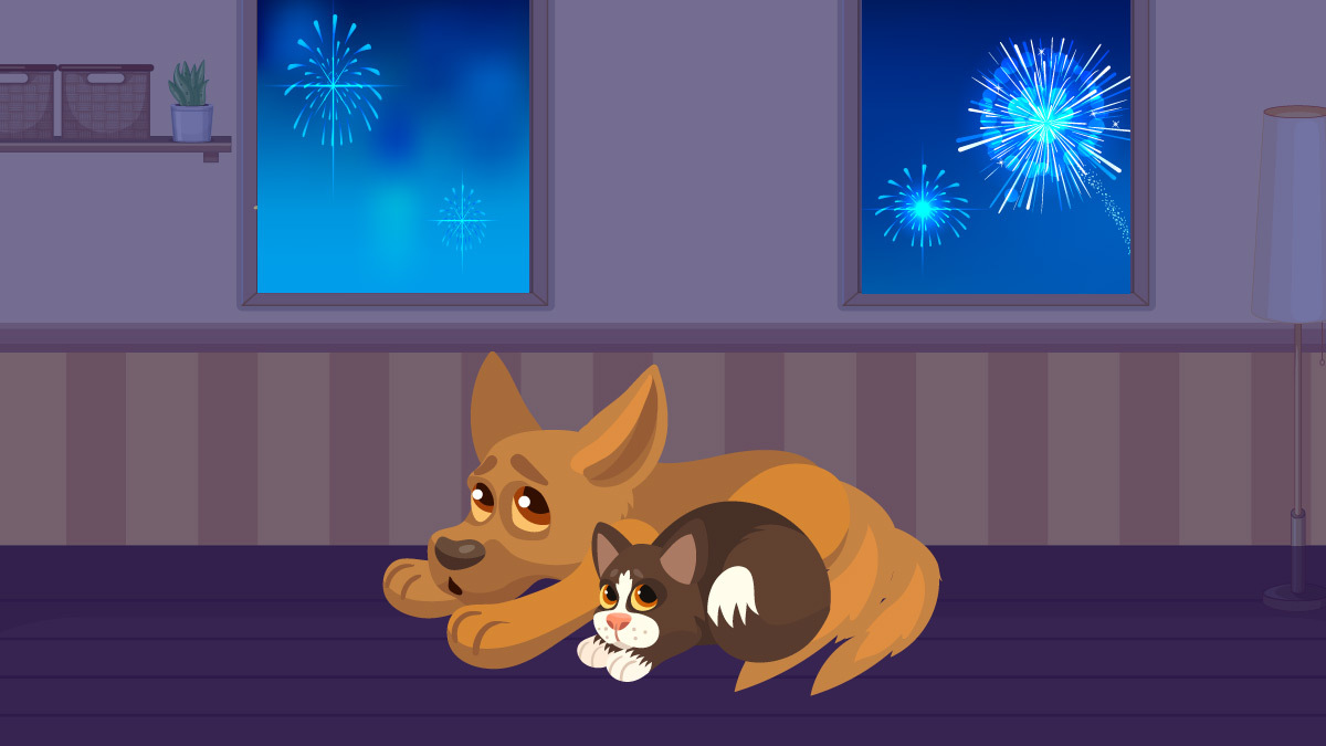 Los cuetes en fiestas patrias espantan y dañan a perros y gatos. En Unotv.com, te damos consejos para que no se estresen con el ruido.