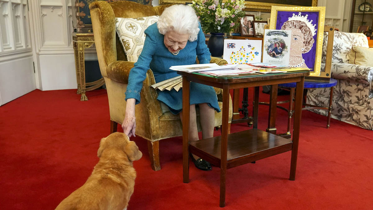 ¿Qué pasará con los perros corgi de la reina Isabel II tras su muerte?